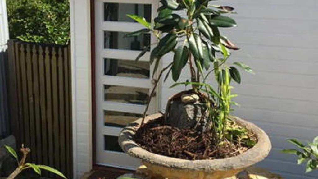 Potters Cottage Bellingen Exterior photo