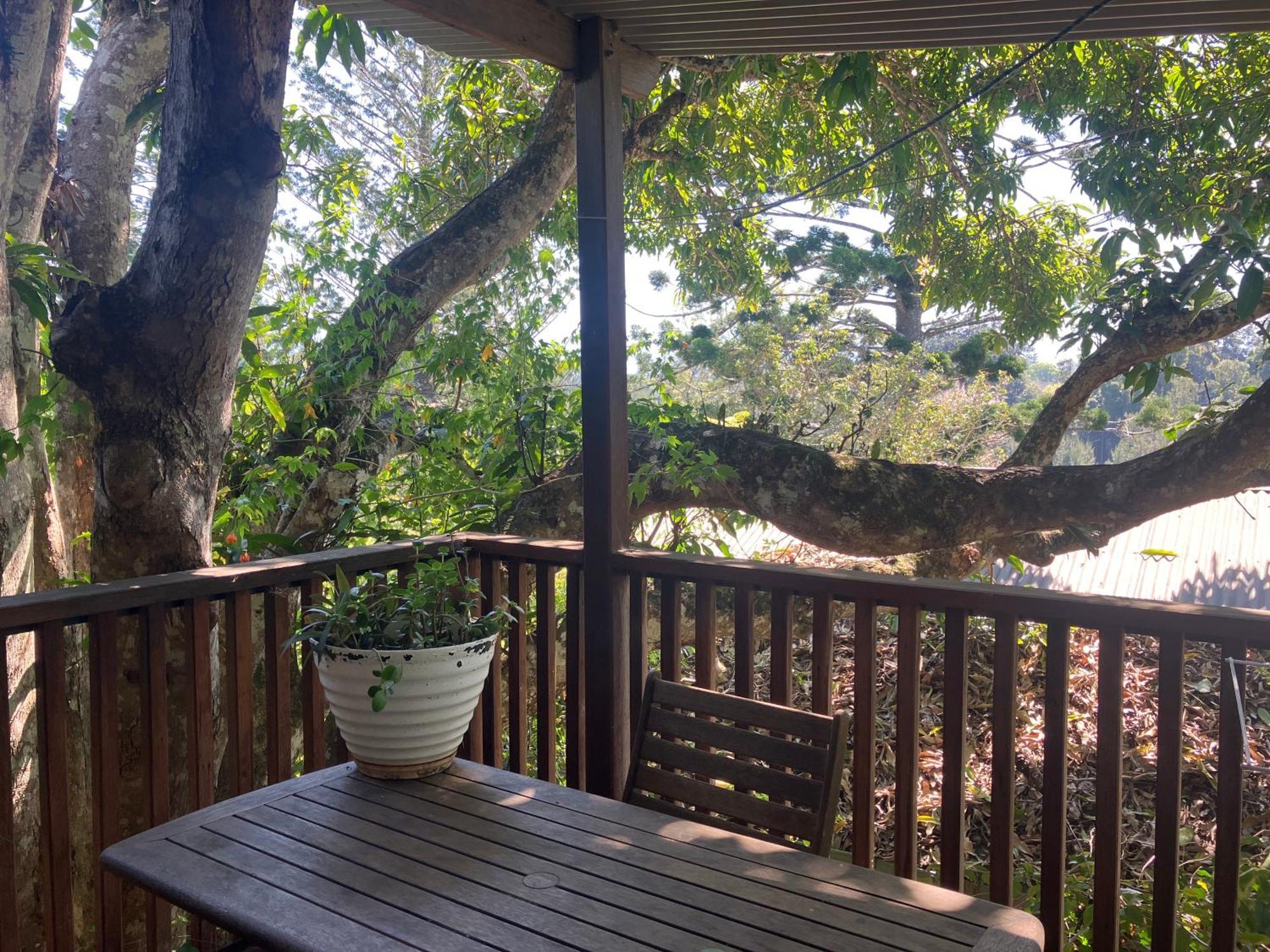 Potters Cottage Bellingen Exterior photo